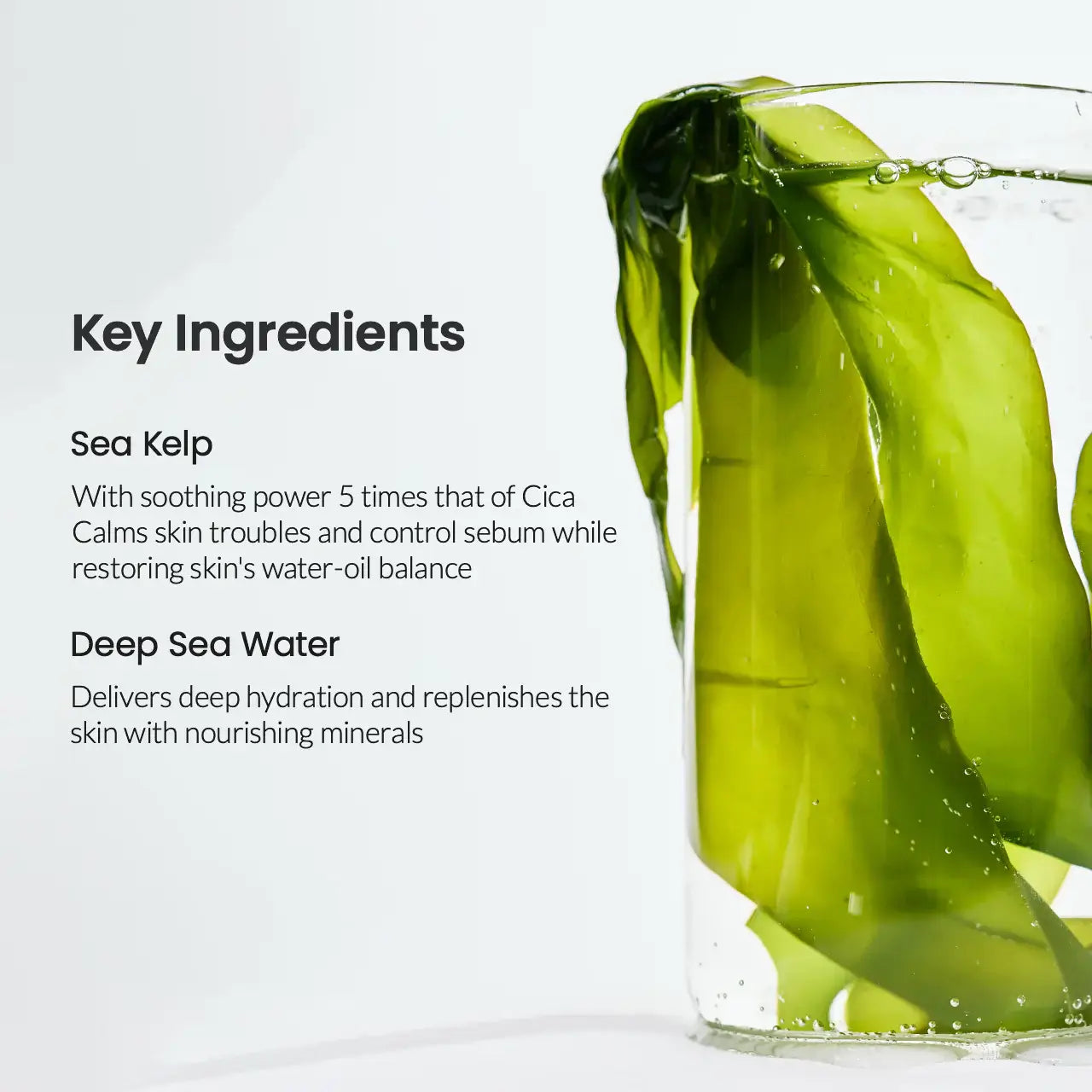 Biodance Освежаваща дълбоко хидратираща маска с морски водораслиКорейска Козметика | LovelyMe