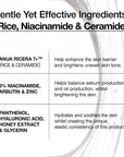 Anua 7 Rice Ceramide Hydrating Barrier Serum – Хидратиращ серум с 7 вида ориз, керамиди и ниацинамид, 50 ml