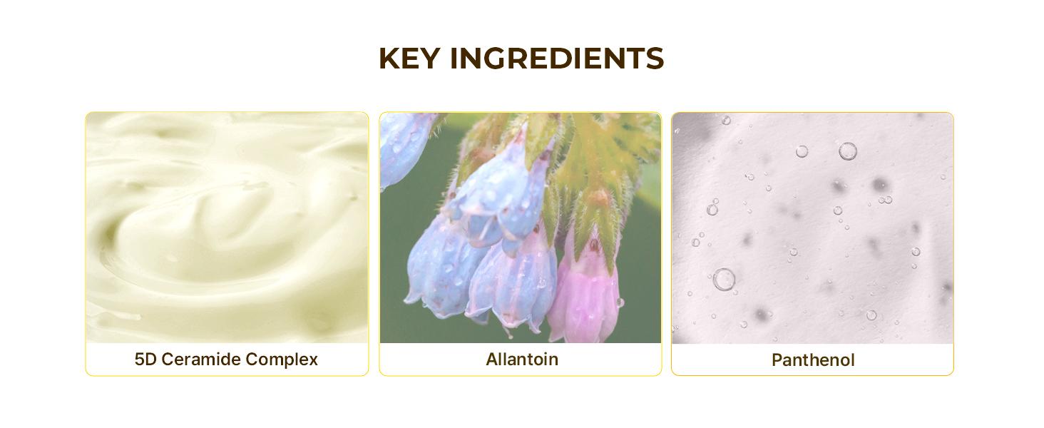 Хидратиращ Крем за лице Torriden SOLID-IN Ceramide Cream 70mlКорейска Козметика | LovelyMe