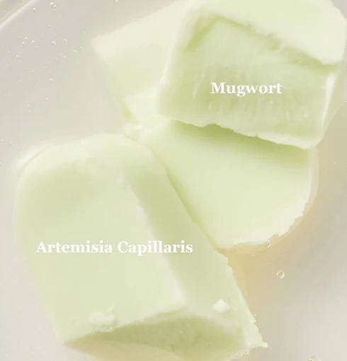 Слънцезащитен стик BEAUTY OF JOSEON Matte Sun Stick Mugwort+Camelia SPF 50+ PA++++, 18 gКорейска Козметика | LovelyMe