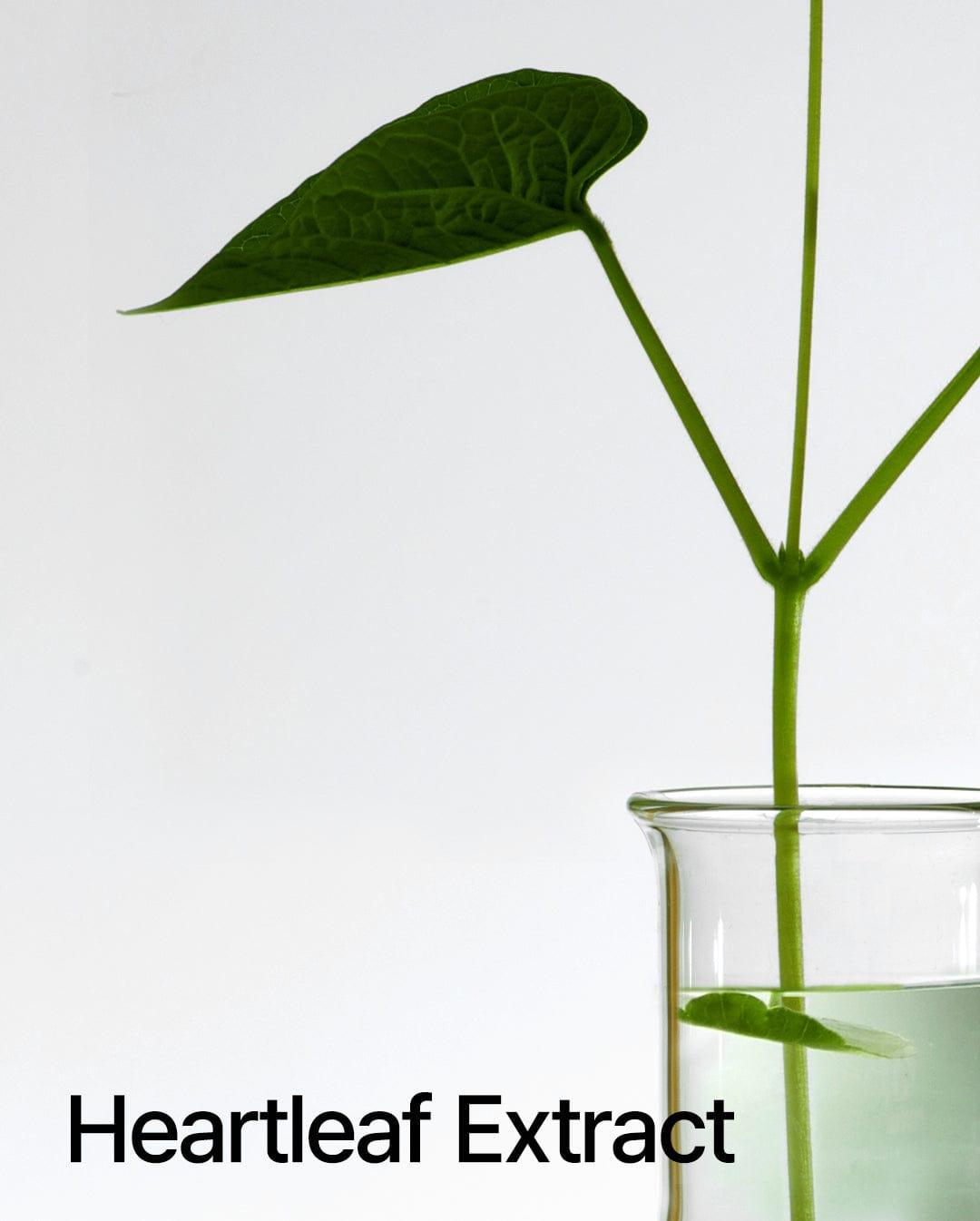 Пилинг Гел ANUA Heartleaf LHA Moisture Peeling Gel, 120млКорейска Козметика | LovelyMe